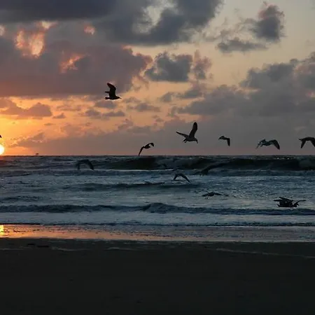 Noordzee 3*