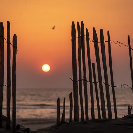 Noordzee 3* Katwijk aan Zee
