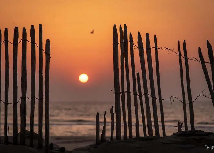 Noordzee 3* Katwijk aan Zee