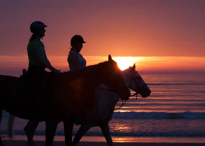 Hotel Noordzee Katwijk aan Zee